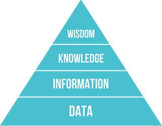 DIKW_Pyramid.svg